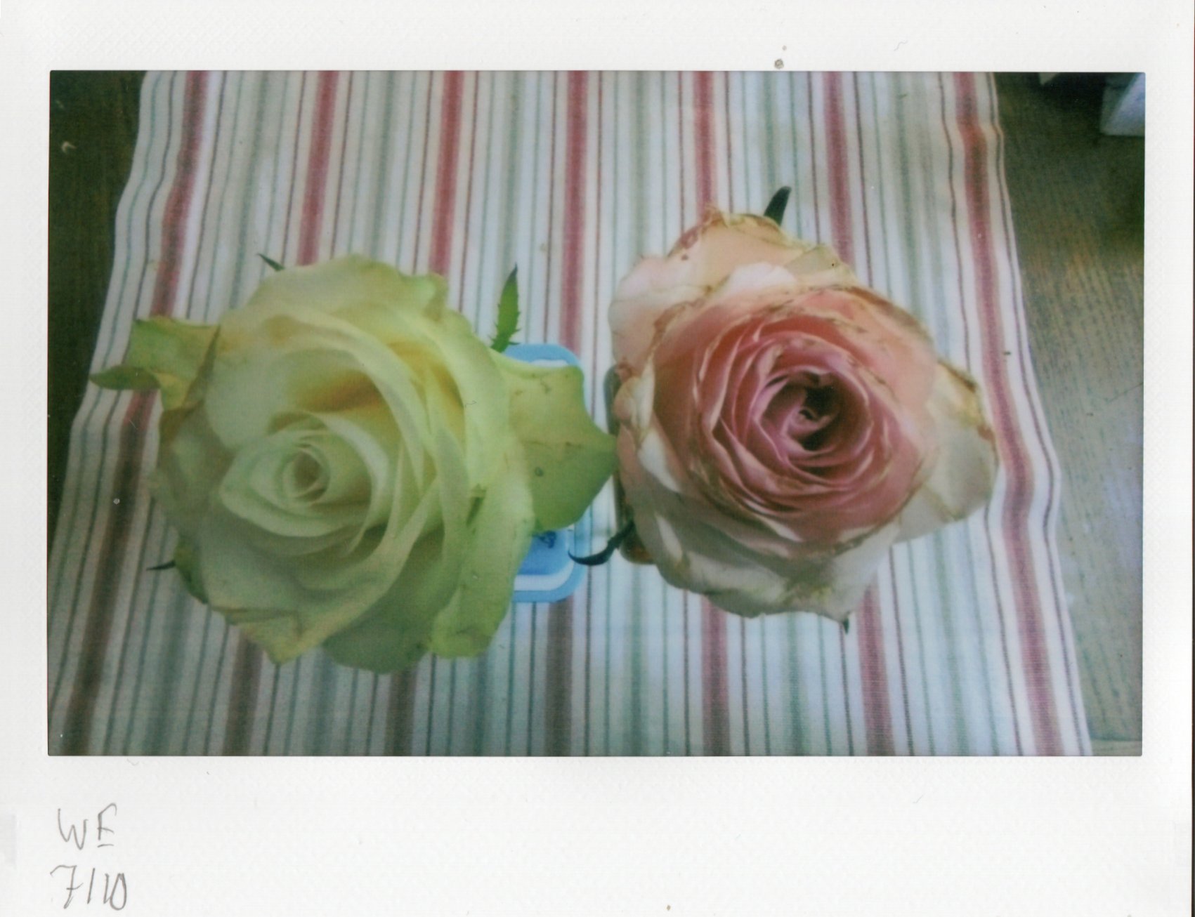 https://www.subcompactcam.com/scans/instant/250202iwe/img20250216_16375337.jpg